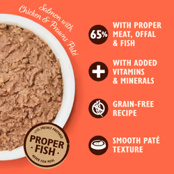 Lily's Kitchen Natural Adult Wet Cat Food Trays - Catch of the Day Salmon & Chicken Smooth Pat? - Complete Grain-Free Recipes (19 Trays x 85g)