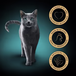 SHEBA Perfect Portions with Chicken in Loaf 3x(2x37.5g)