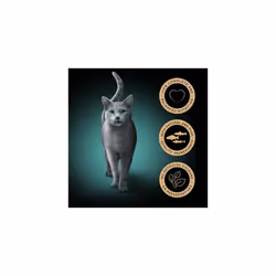 SHEBA Fresh Cuisine Taste of Tokyo Cat Pouches with Salmon and Tuna in Gravy 8x 6x50 g ? Gourmet Wet Cat Food with Tuna and Salmon