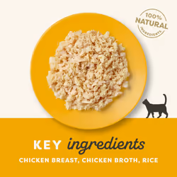 Applaws 100% Natural Wet Cat food, Chicken Breast in Broth 70 g, Bulk Pack (36 x 70 g Tins)