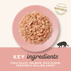 Applaws Natural Wet Cat Food, Tuna with Salmon in Jelly 70g Tin (Pack of 24)
