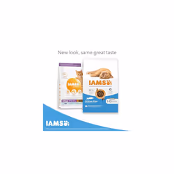 IAMS Complete Dry Cat Food for Kittens with Ocean Fish 3 kg