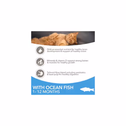 IAMS Complete Dry Cat Food for Kittens with Ocean Fish 10 kg
