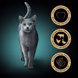 Sheba Cat Wet Food - Fresh and Fine - Cat Pouches Meaty Pieces in Gravy - 15 x 50 g (Pack OF 3)