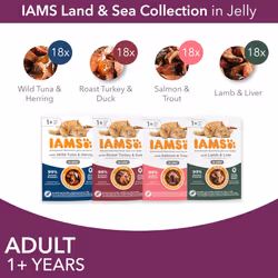 IAMS Delights Complete Wet Cat Food for Adult 1+ Cats Meat and Fish Variety in Jelly Multipack 72 x 85 g Pouches