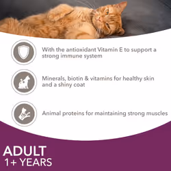 IAMS Delights Complete Wet Cat Food for Adult 1+ Cats Meat and Fish Variety in Jelly Multipack 72 x 85 g Pouches