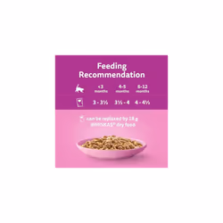 whiskas Junior Poultry Selection in Jelly 84 Pouches, Wet Kitten and Cat Food, Selection of Chicken, Duck, Poultry and Turkey, Megapack (84 x 85 g)
