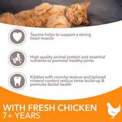 IAMS Complete Dry Cat Food for Senior 7+ Cats with Chicken 3 kg
