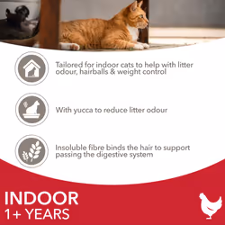 IAMS Indoor Complete Dry Cat Food for Adult and Senior Cats with Chicken 3 kg