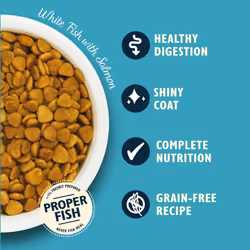 Lily's Kitchen Made with Natural Ingredients Adult Dry Cat Food White Fish with Salmon Grain-Free Recipe 2kg