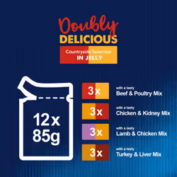 FELIX Doubly Delicious Countryside Selection in Jelly Wet Cat Food 12x85g (Pack of 4)