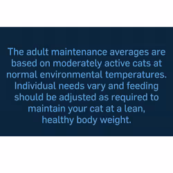 Felix Deliciously Sliced Adult Wet Cat Food Mixed Selection 12x80g, Pack of 4