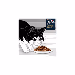 FELIX Tasty Shreds Mixed Selection in Gravy Wet Cat Food 40x80g