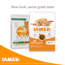IAMS Complete Dry Cat Food for Adult 1+ Cats with Chicken 3 kg