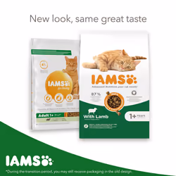 IAMS Complete Dry Cat Food for Adult 1+ Cats with Lamb 10 kg