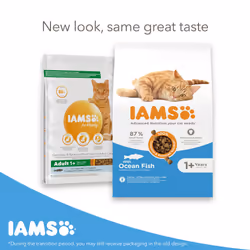 IAMS Complete Dry Cat Food for Adult 1+ Cats with Ocean Fish 10 kg