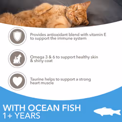 IAMS Complete Dry Cat Food for Adult 1+ Cats with Ocean Fish 3 kg,Packaging may vary