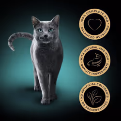 SHEBA - Adult Wet Cat Food Pouches - 40 x 85 g - Fish - Bulk Cat Food Megapack - 40 Jelly Pouches