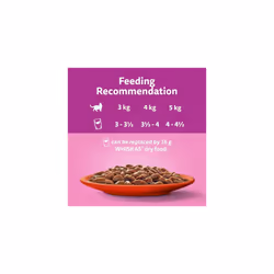 whiskas 1+ Adult Classic Selection in Gravy 84 Pouches, Adult Wet Cat Food, Megapack (84 x 85 g)