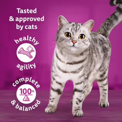 whiskas Tasty Mix 1+Chef?s Choice in Gravy 40x85g Pouches, Adult Cat Food