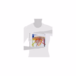 STAEDTLER 175 M72 Coloured Pencils - Assorted Colours (Tin of 72)