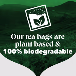 PG Tips Decaf Tea Bags 70 Tea Bags (10 Pack)