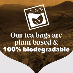 PG Tips Gold Tea Bags 70 Tea Bags (10 Pack)