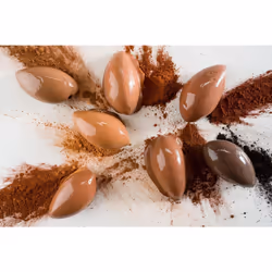 Cacao Barry Extra Brute & Plein Ar?me Cocoa Powder Bundle ? 2 x 1kg Premium Baking Cocoa Callebaut