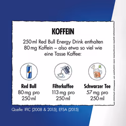 Red Bull Energy Drink 250 ml x 24
