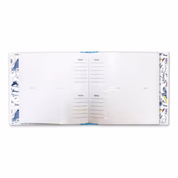 Photo Album - Holds 100 6x4 Photos - Paddington Design