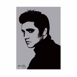 Pyramid International PPR40115, 1 pc(s), Elvis Presley, Rectangle
