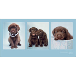 Pyramid International PPR41013 poster 1 pc(s)