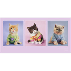 Pyramid International PPR41014 poster 1 pc(s)