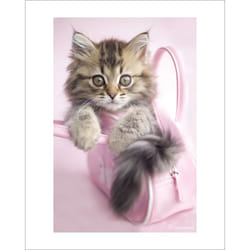 Pyramid International PPR43036 poster 1 pc(s)