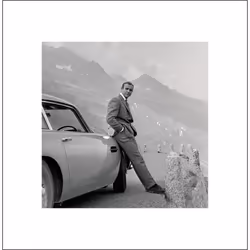 Pyramid International PPR45177, 1 pc(s), James Bond, Rectangle