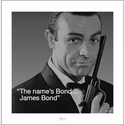 Pyramid International PPR45223, 1 pc(s), James Bond, Square