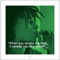 Pyramid International PPR45231 poster 1 pc(s)