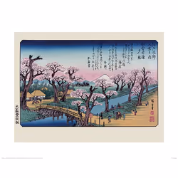 Pyramid International PPR43645, 1 pc(s), Hiroshige, Rectangle