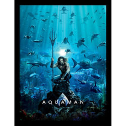 Pyramid International FP12397P poster 1 pc(s)