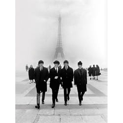 Pyramid International WDC92814 poster 1 pc(s)