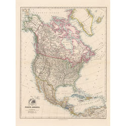 Pyramid International WDC100335 poster 1 pc(s)