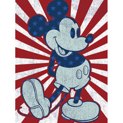 Pyramid International WDC100411 poster 1 pc(s)