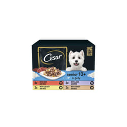 CESAR Senior 10+ Deliciously Fresh Wet Dog Food Pouches Mixed Selection in Jelly Suitable for Senior Dogs Aged 10+ Pack of 4 (4 x 12 Pouches x 100 g)
