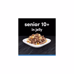 CESAR Senior 10+ Deliciously Fresh Wet Dog Food Pouches Mixed Selection in Jelly Suitable for Senior Dogs Aged 10+ Pack of 4 (4 x 12 Pouches x 100 g)