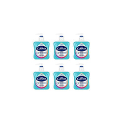 Carex Original Antibacterial Hand Wash, Clean & Protect Hands, Bulk Buy, Pack of 6 x 250 ml (Packaging may vary)