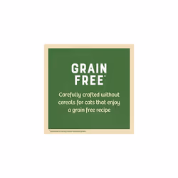 James Wellbeloved Senior Grain Free Chicken in Jelly 12 Pouches, Hypoallergenic Wet Cat Food, Pack of 1 (12 x 85 g)