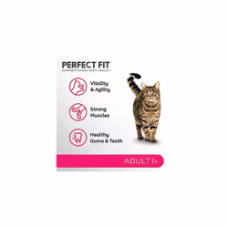 Perfect Fit Adult 1+ Complete Dry Cat Food for Adult Cats Aged 1+ Years, Rich in Salmon, 1 Bag (7 kg)