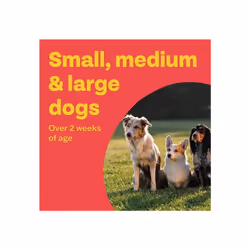 Bob Martin Clear   3 in 1 Wormer Tablets for Small, Medium & Large Dogs (up to 40kg) Clinically Proven Treatment (4 Tablets)