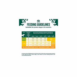 James Wellbeloved Junior Turkey & Rice 2 kg Bag, Hypoallergenic Dry Dog Food