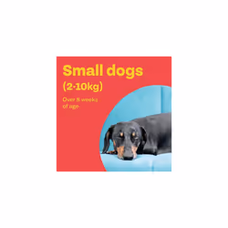 Bob Martin Clear Plus | Spot On Flea Treatment for Small Dogs (2-10Kg) | Kills Fleas, Ticks, Lice & Flea Eggs (3 Pipettes)